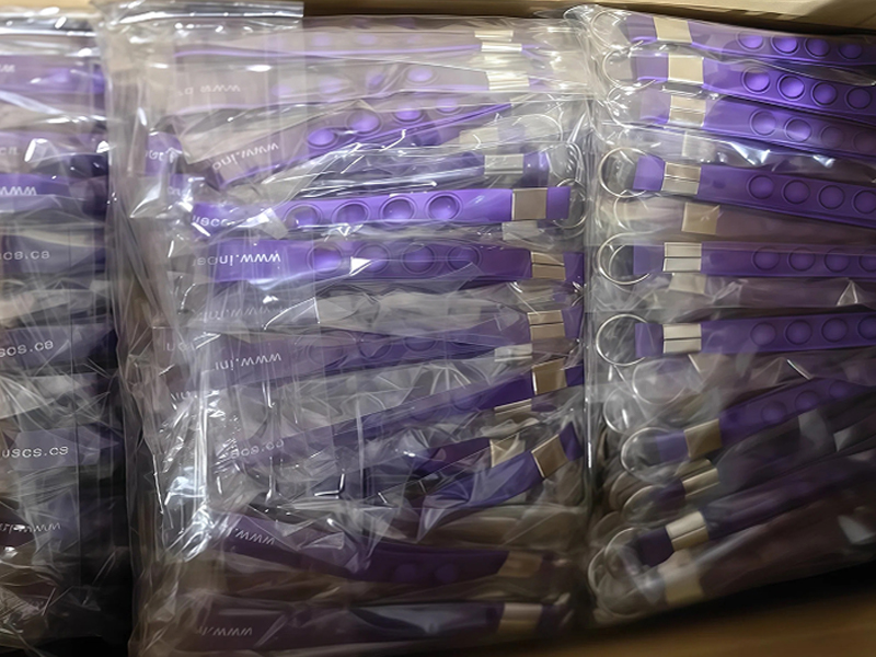 Bulk Purple Pop It Lanyard Keychain